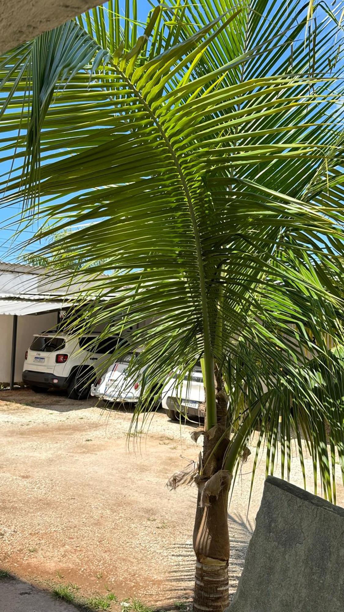 Pousada Caminho Das Cachoeiras Pirenópolis Esterno foto